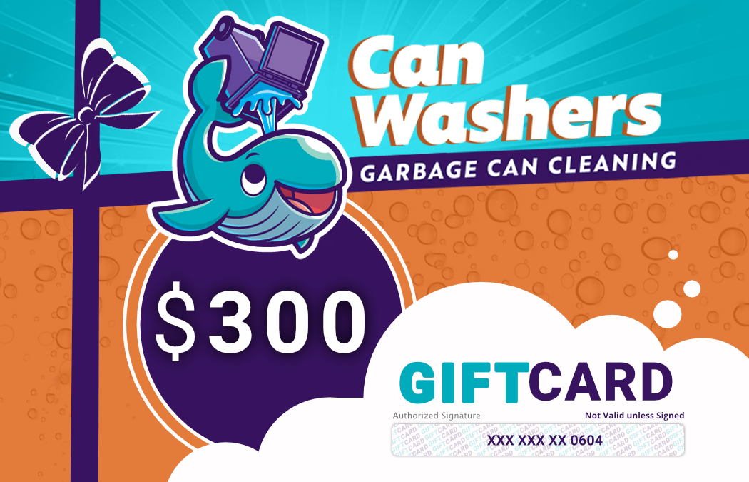 can washers 300$ gift card