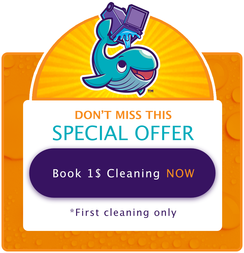 Whale mascot special offer $1 cleaning