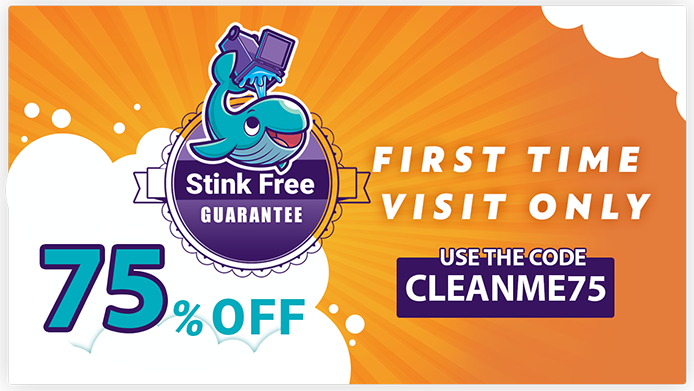 75% off first visit stink-free guarantee
